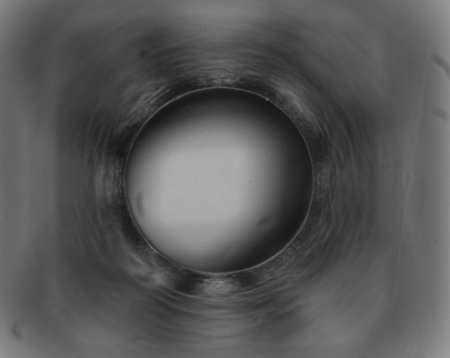 X0000091890218200709121446