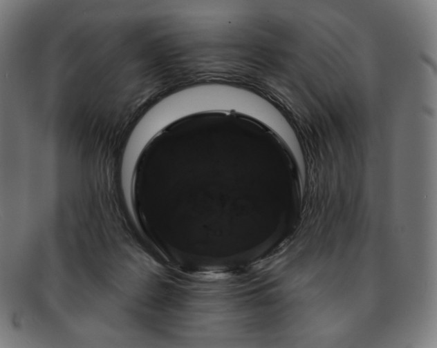 X0000091890219200709121446