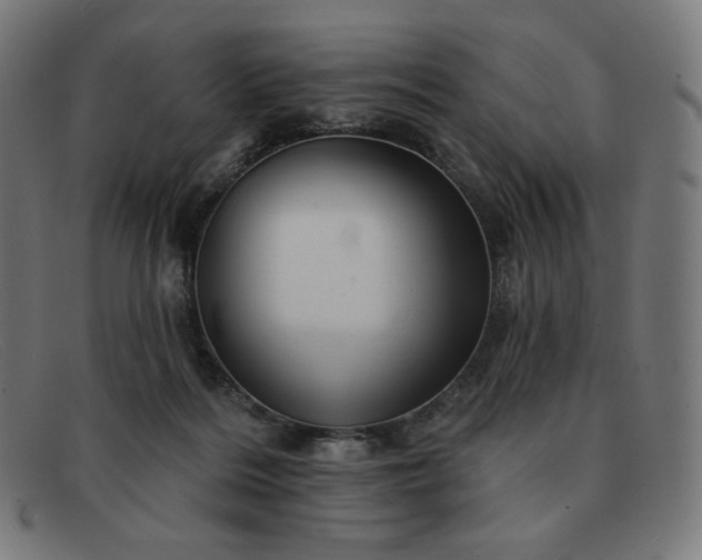 X0000091890220200709121446