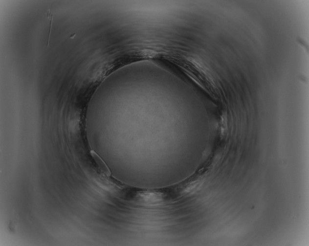 X0000091890221200709121446