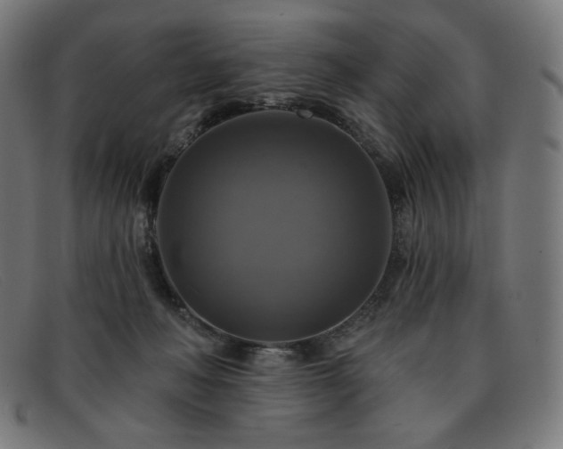 X0000091890222200709121446