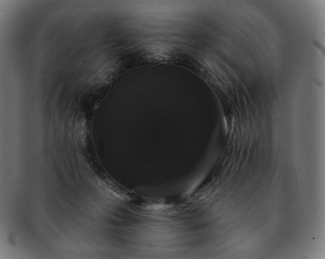 X0000091890223200709121446