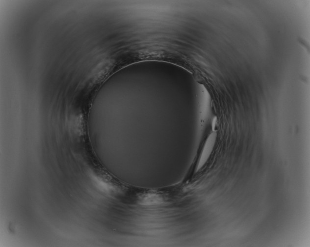 X0000091890224200709121446