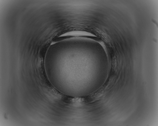 X0000091890225200709121446