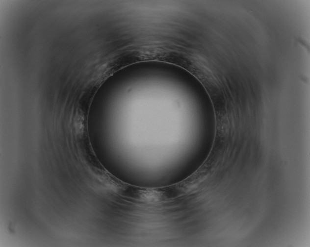 X0000091890226200709121446