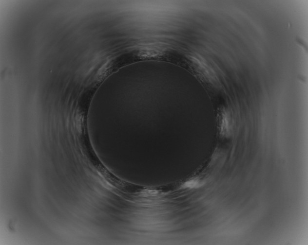 X0000091890227200709121446