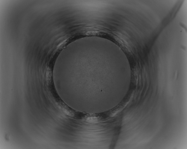 X0000091890228200709121446
