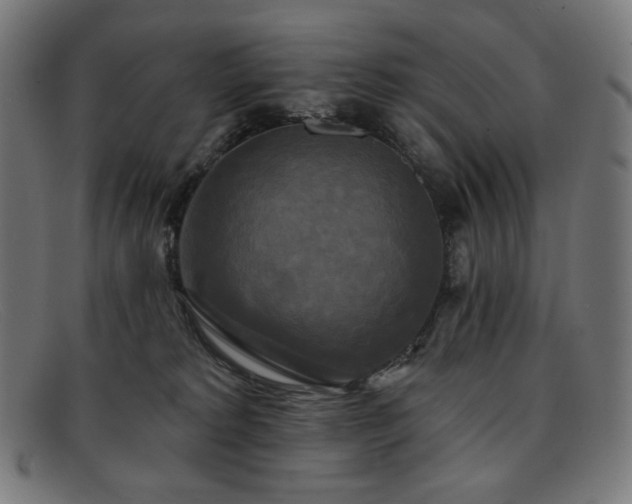 X0000091890229200709121446