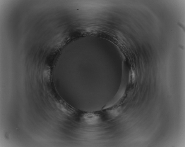 X0000091890231200709121446