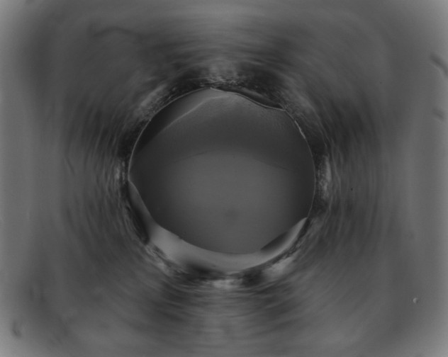 X0000091890233200709121446
