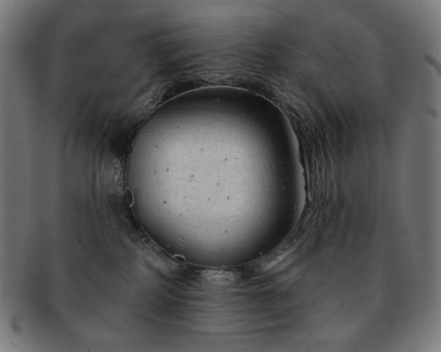 X0000091890234200709121446