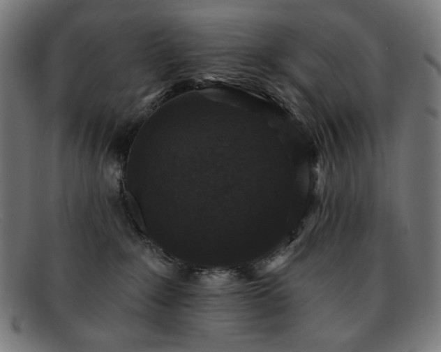 X0000091890235200709121446