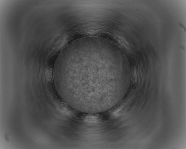 X0000091890236200709121446