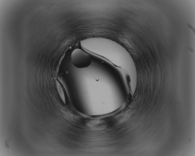 X0000091890237200709121446