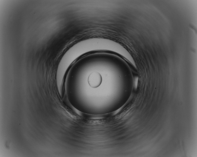 X0000091890239200709121446