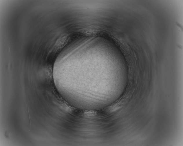 X0000091890240200709121446