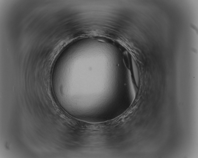 X0000091890241200709121445