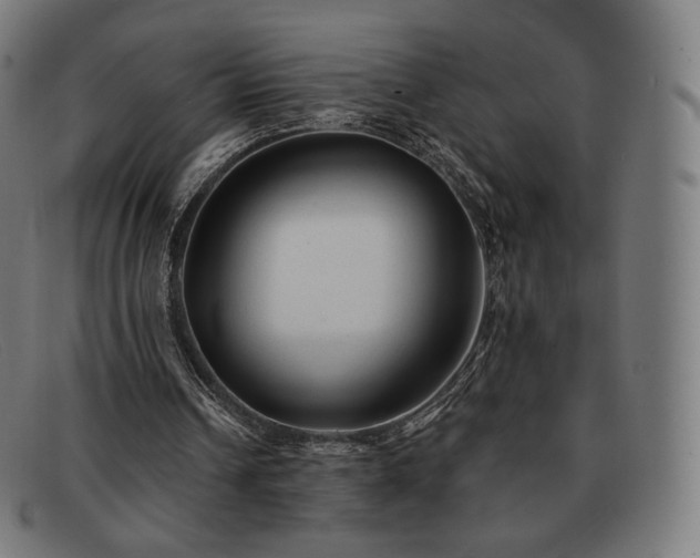 X0000091890242200709121445