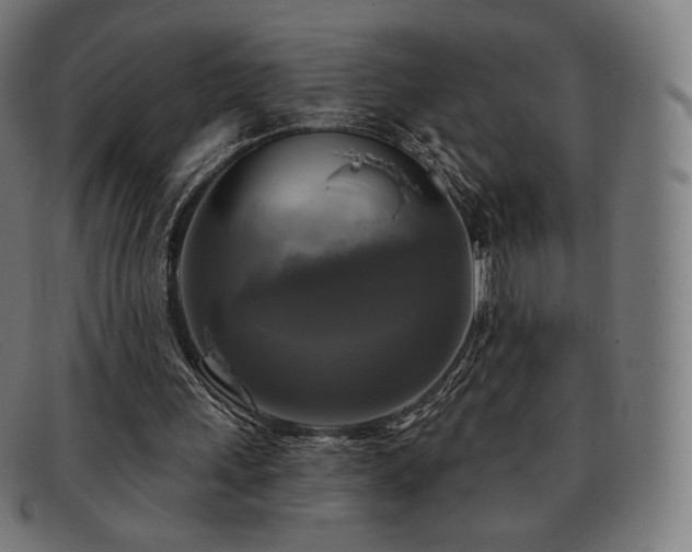 X0000091890243200709121445