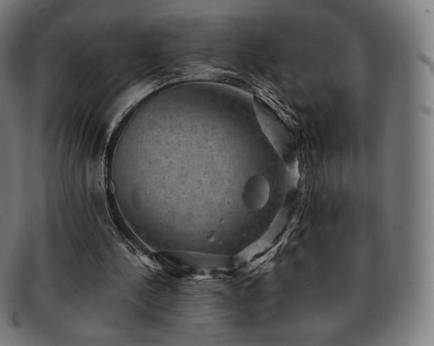 X0000091890244200709121445