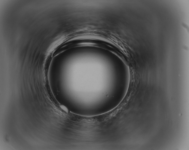 X0000091890245200709121445