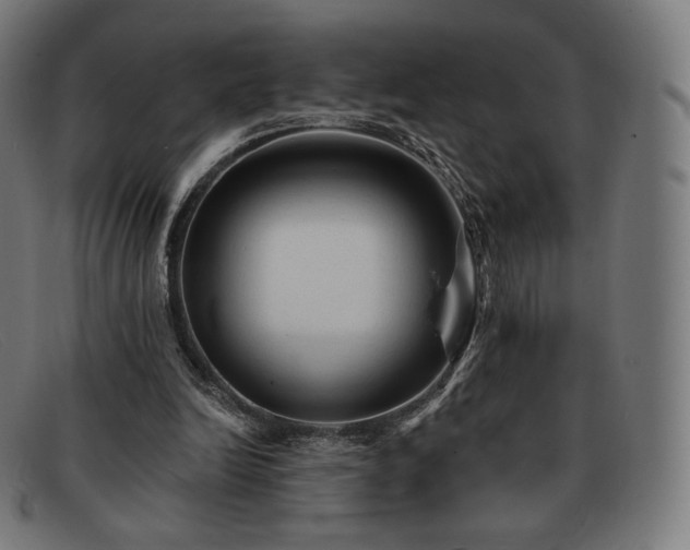 X0000091890246200709121445