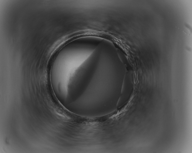 X0000091890247200709121445