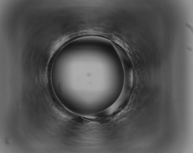 X0000091890248200709121445
