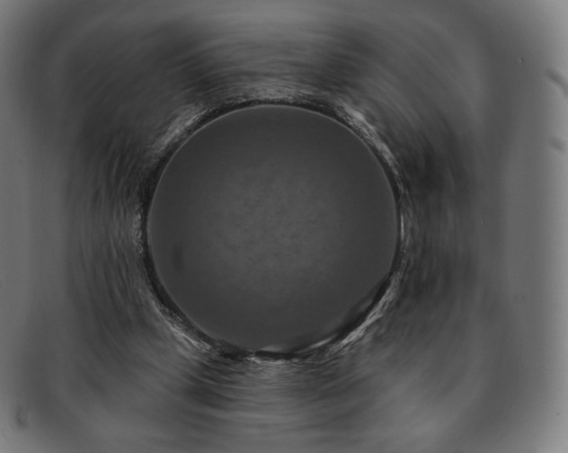 X0000091890249200709121445