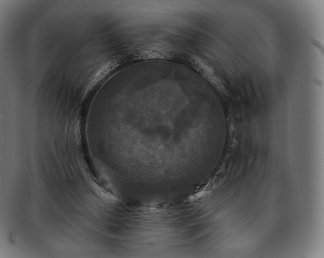 X0000091890250200709121445