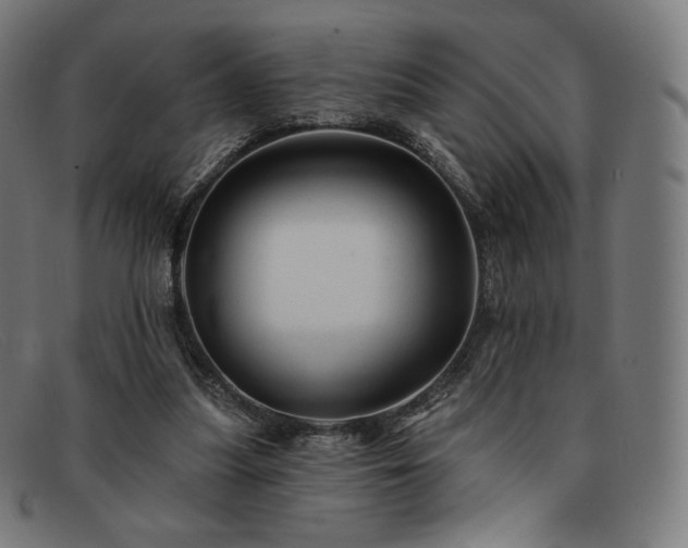 X0000091890251200709121445