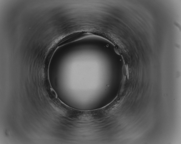 X0000091890252200709121445
