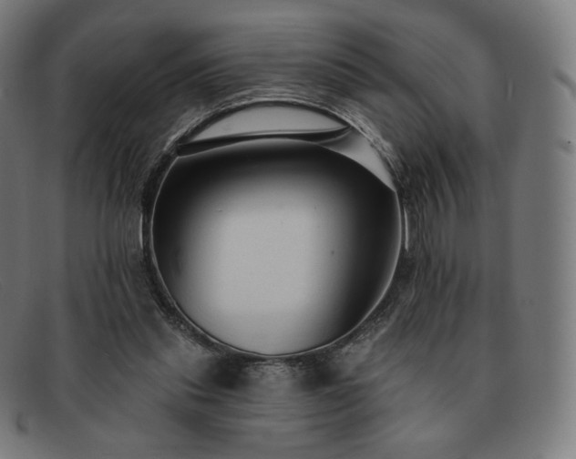 X0000091890253200709121445