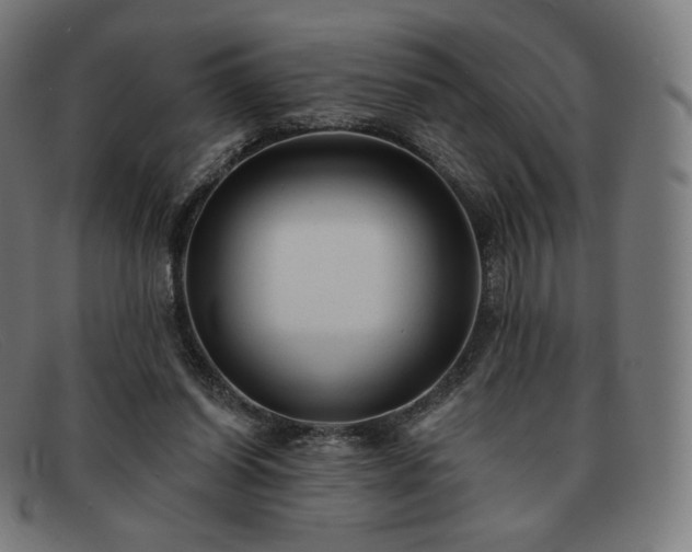 X0000091890254200709121445