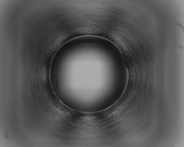X0000091890255200709121445