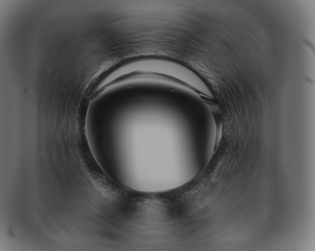 X0000091890256200709121445