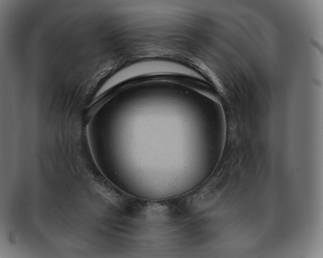 X0000091890257200709121445