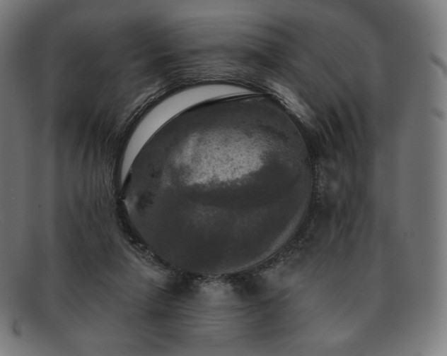 X0000091890258200709121445