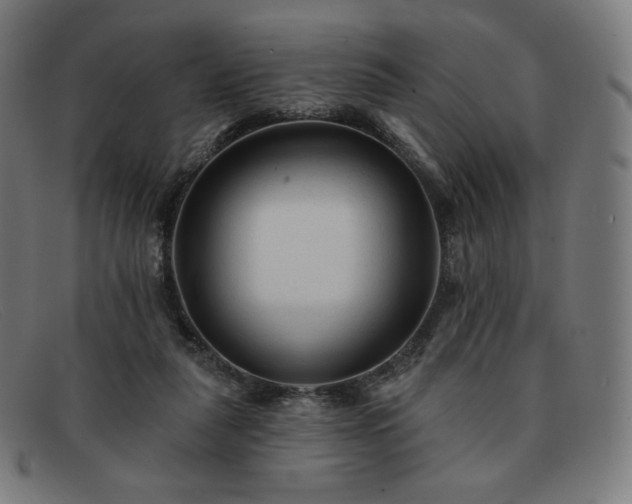 X0000091890259200709121445