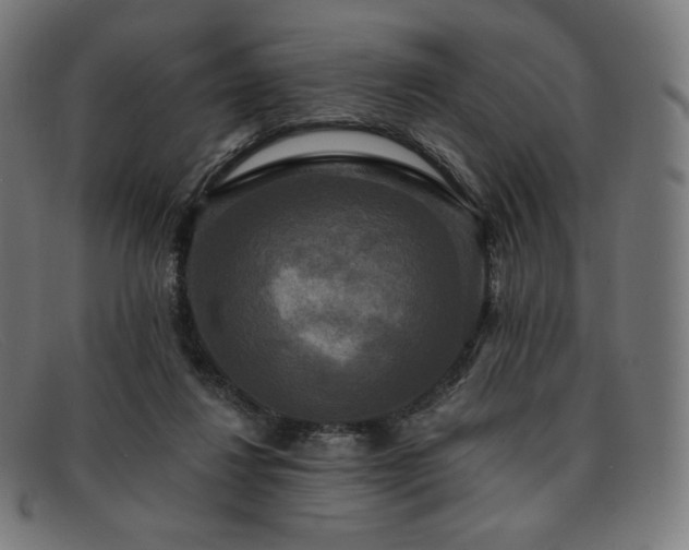 X0000091890260200709121445
