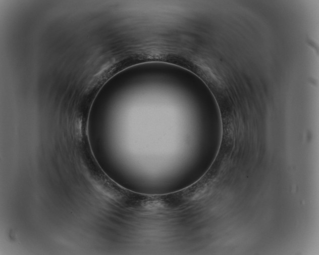 X0000091890262200709121445