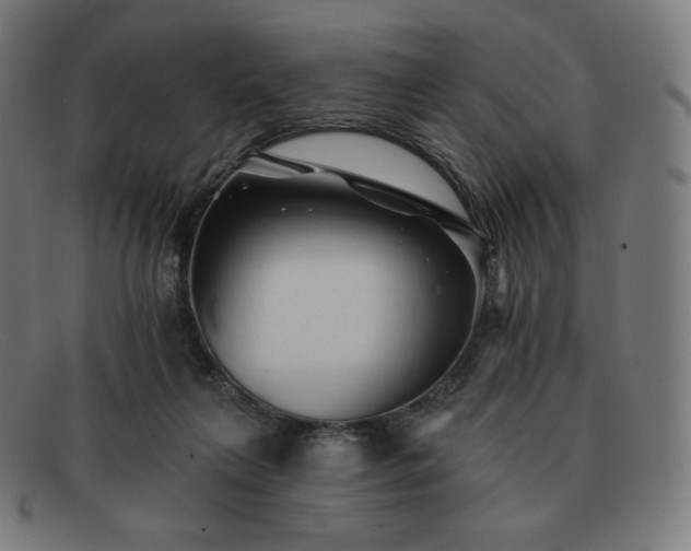 X0000091890263200709121445