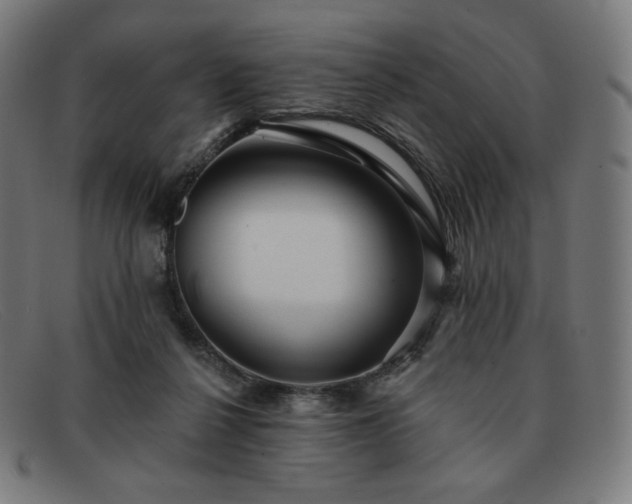 X0000091890264200709121445