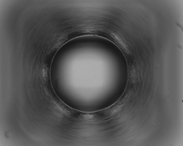 X0000091890265200709121445
