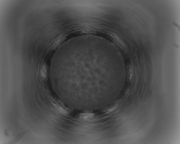 X0000091890266200709121445