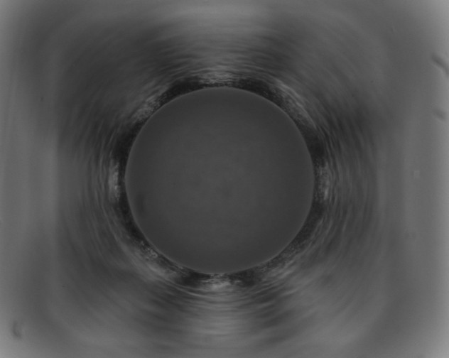 X0000091890267200709121445