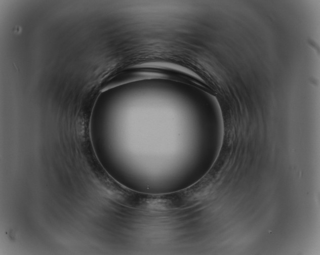 X0000091890268200709121445
