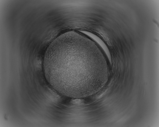 X0000091890269200709121445