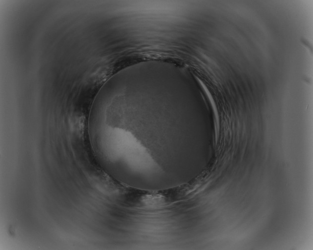 X0000091890271200709121445