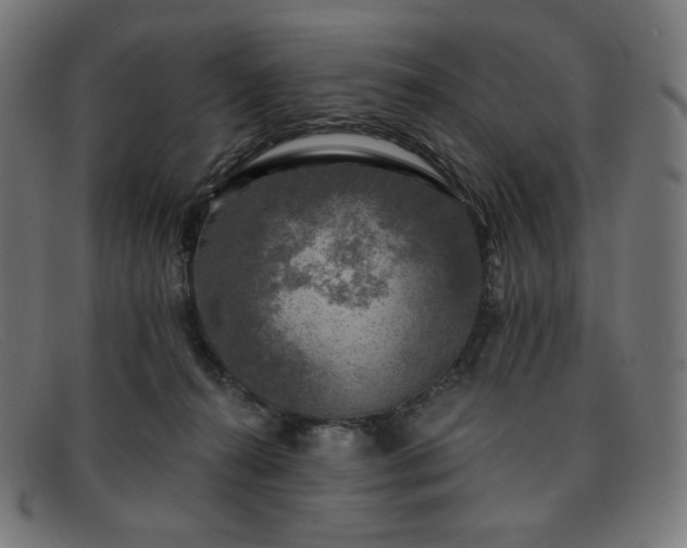 X0000091890272200709121445